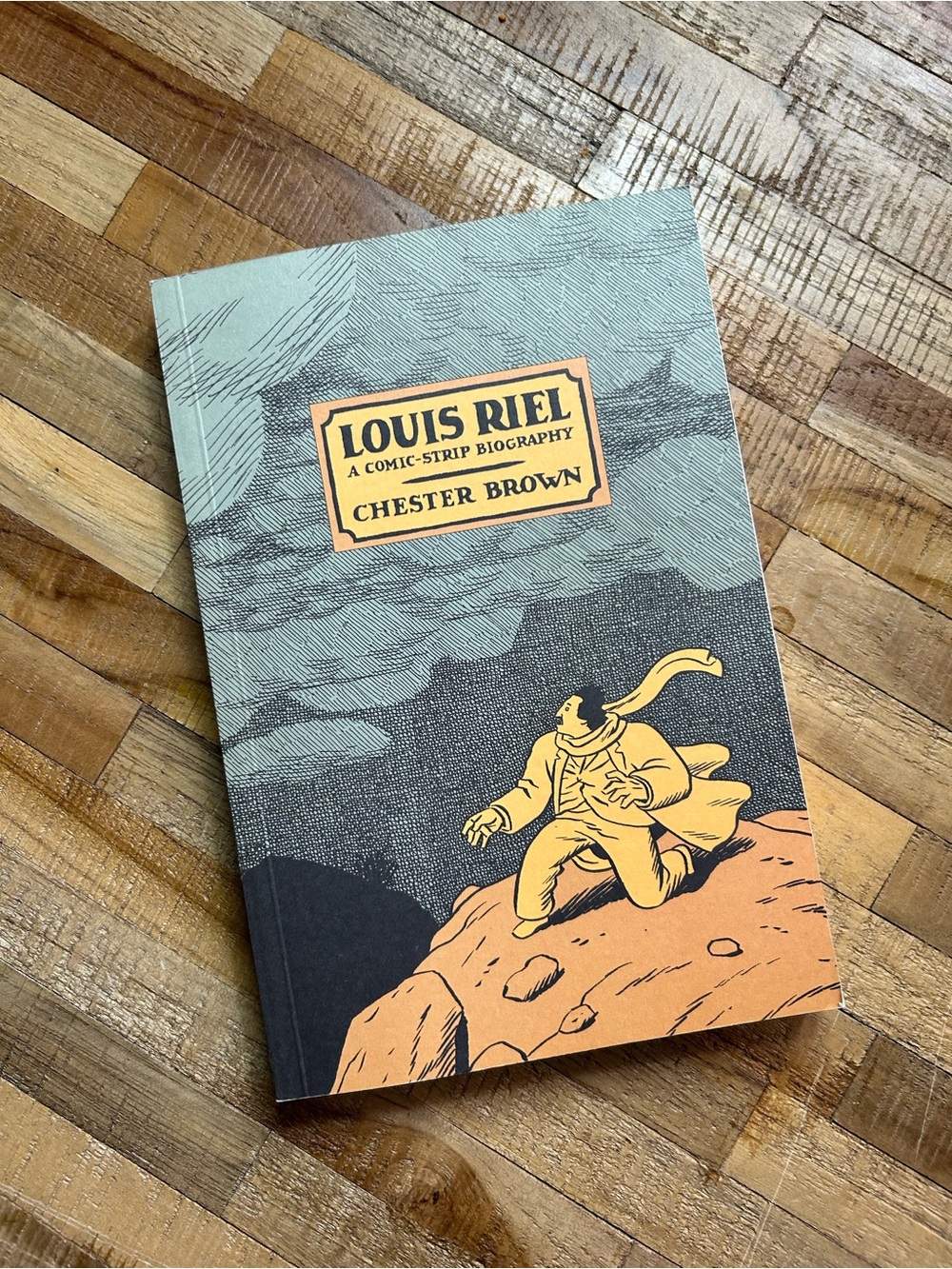 Louis Riel Comic-Strip Biography. graphic novel